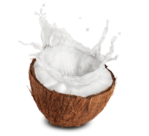 kokosnoot-organicolabs