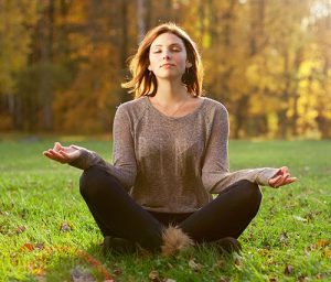 meditatie-organicolabs