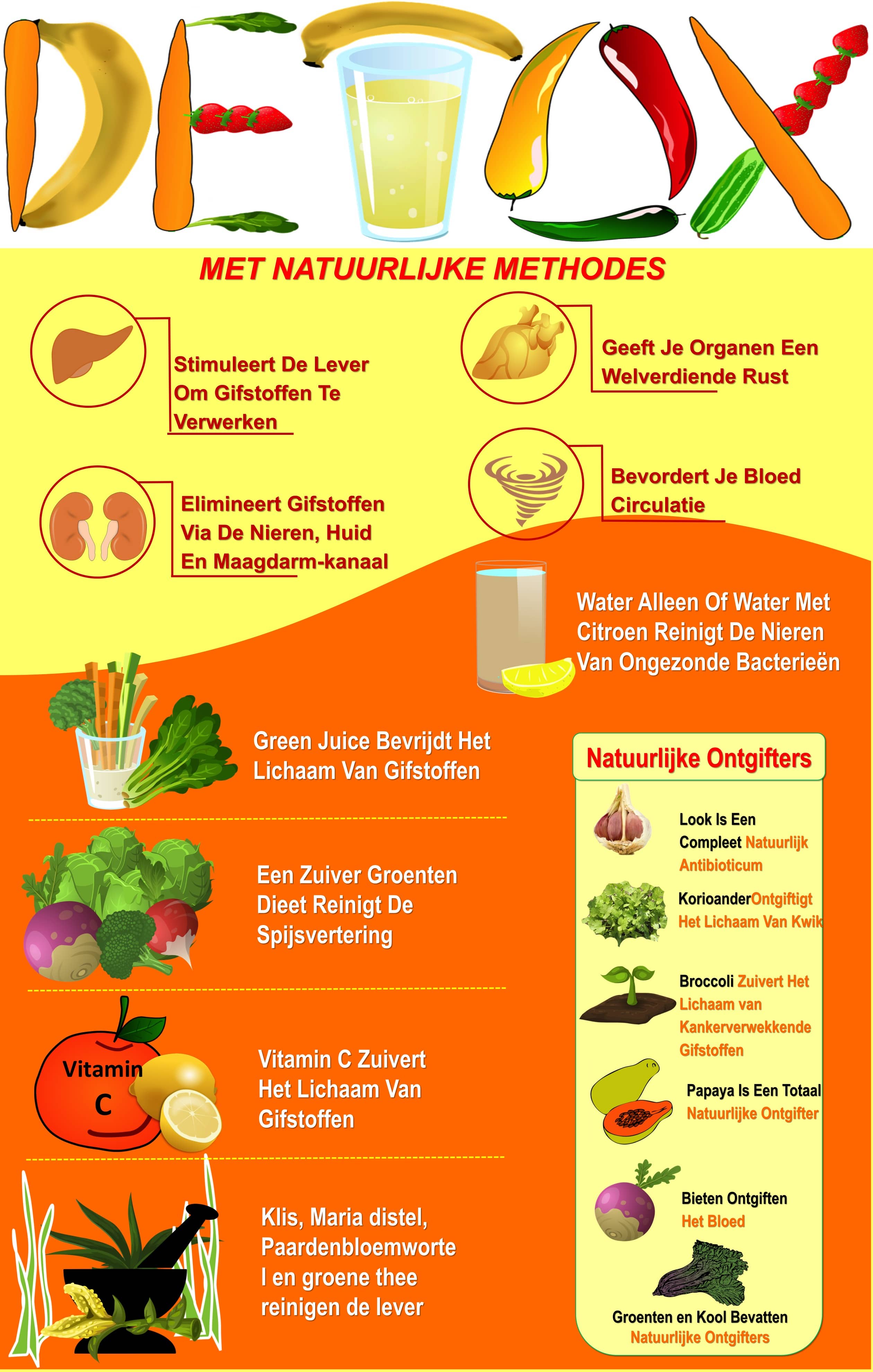 natuurlijke detox infographic
